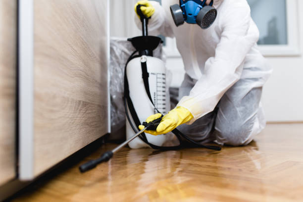 Best Residential Pest Control  in Lawrencevle, IL