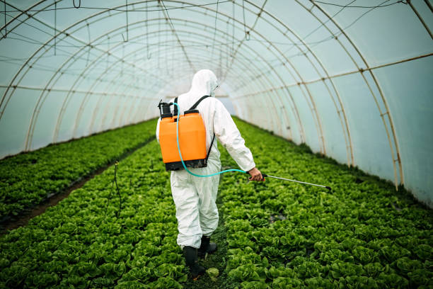 Reliable Lawrenceville, IL Pest Control Solutions