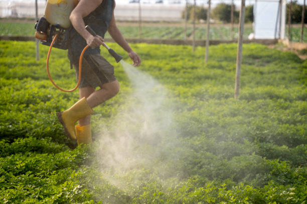 Best Best Pest Control Companies  in Lawrencevle, IL