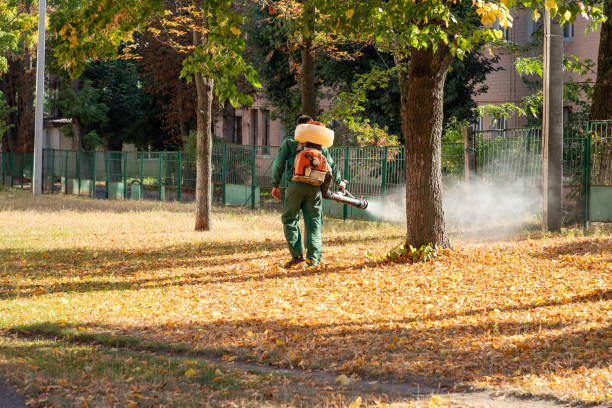 Best Ant Control Services  in Lawrencevle, IL